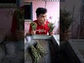 Pito Entomatado Xd Humor Elsalvador Centroamerica Costarica Nicaragua Panama Honduras