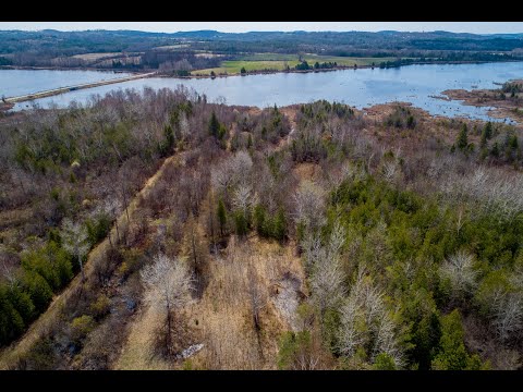 122 King Street West, Omemee ON MLS® 40095769 & X5191315 PDSOLD