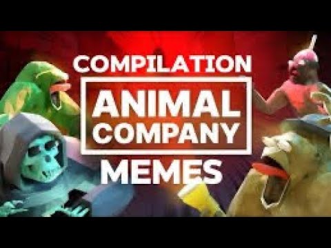 20 MINUTE ANIMAL COMPANY MEME COMPILATION 