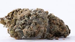 Zefside Zol Remix - Ten$tion - Die Antwoord - (Unofficial Music Video)