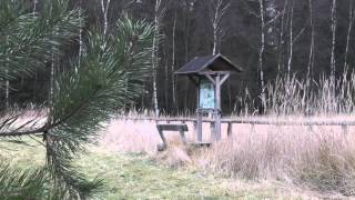 preview picture of video 'Rostocker Heide - Impressionen'