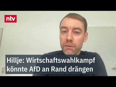 "Kann nur über Migration punkten" - Hillje: Wirtschaftswahlkampf könnte AfD an Rand drängen | ntv