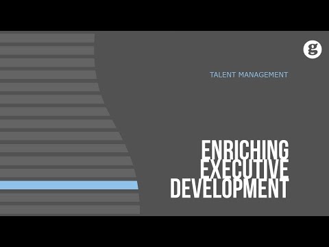 Enriching Executive Development