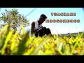 VOLKANO TUACHANE MDOGO MDOGO OFFICIAL VIDEO