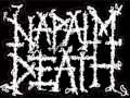 Napalm Death Damage. Inc (cover) 