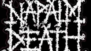 Napalm Death Damage. Inc (cover)