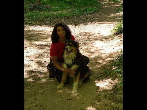 Pups and Paws Dogtraining LLC video.