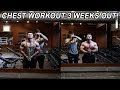 CHEST WORKOUT & PHYSIQUE UPDATE | SUMMER SHREDDING 2019