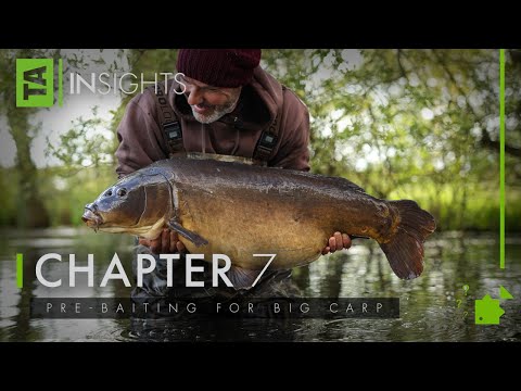 Pre-Baiting for Carp | TA|Insights | Volume Three | Chapter Seven | Adam Penning | Carp Fishing