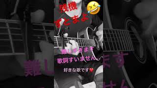 残機　ずとまよ　弾き語り　アコギ　アラサー　初心者