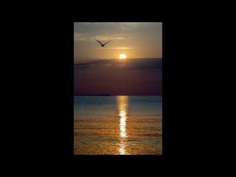 Adrian Ilie - Lumina