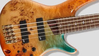 Video thumbnail for Ibanez SR1605DW - What Does it Sound Like? by Deadbeat Studios