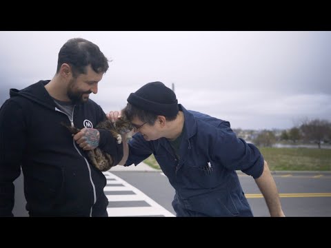 Steve Albini on Lil BUB's Big SHOW (in memory of Steve)