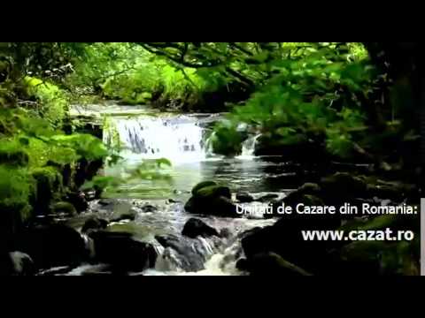 Cazare Vaidacuta, Mures - Cazat.ro