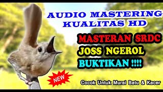 Download lagu SUARA BURUNG SRDC - Sikatan Rimba Dada Coklat Gacor Buat Pancingan Bunyi mp3
