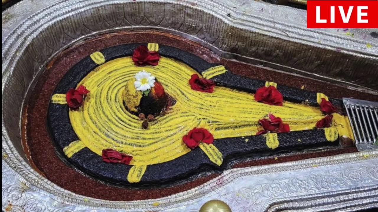 Bhimashankar Jyotirlinga Temple live darshan today
