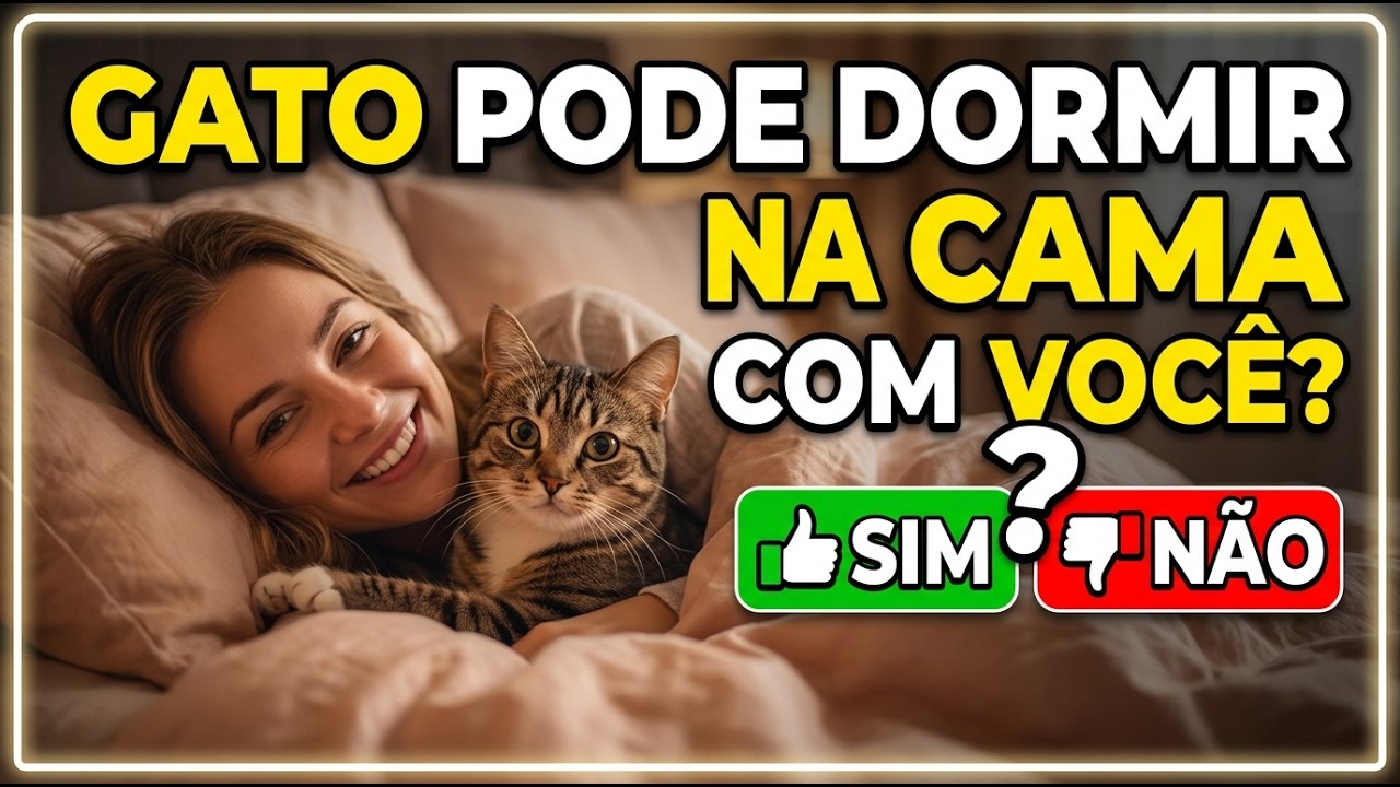 GATO pode dormir na cama com a pessoa? Pq dorme na cabeça da pessoa? - Gatil Hauser