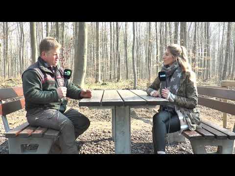 „Unser Wald“ – Was macht eigentlich ein Förster?