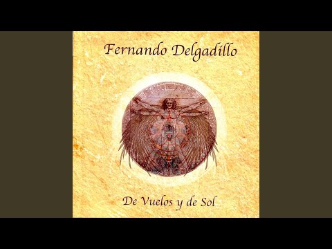 Vuelos video