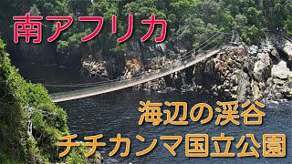 【南アフリカ】海辺の秘境　チチカンマ国立公園