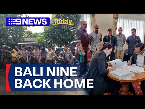 How the Bali Nine case unfolded | 9 News Australia