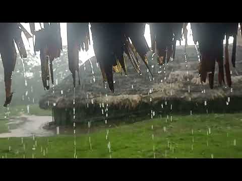 Melodies of Monsoon Rains @Chanu village, Longding Northeast India