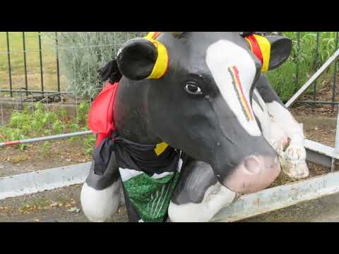 STEENHUFFEL (LONDERZEEL)