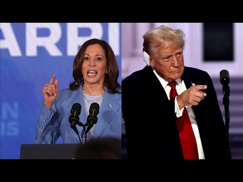 Thumbnail for Heather Boushey on Economy Next President Will Inherit by Heather Boushey