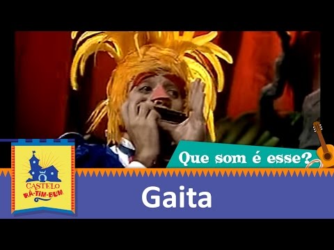 Que som é esse? | Gaita