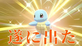３週間の頑張りがようやく報われました【ポケットモンスター ソード】