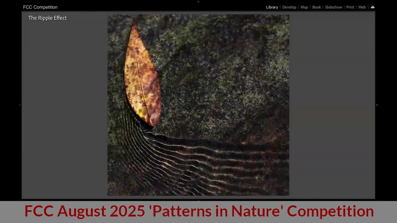 FCC August 2025 Competition