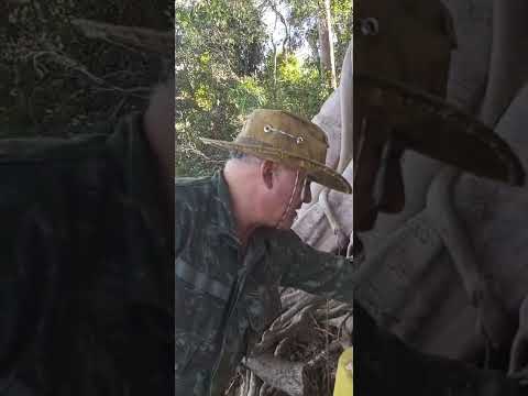 ALMOÇO NA BEIRA DO RIO DOS BOIS INACIOLANDIA GO