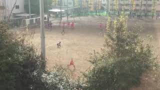 サッカー都大会 都立高島高校vs東京成徳
