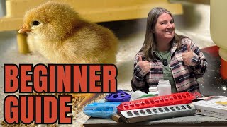 THE BEST Day Old CHICK BROODER Set Up!