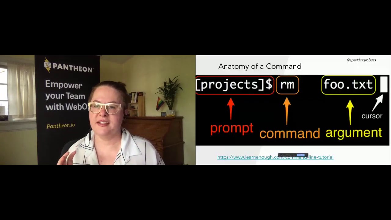 Command line basics for Drupal site builders / DrupalCon Global 2020