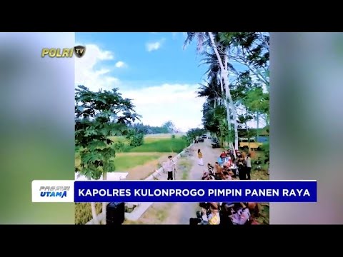 KAPOLRES KULONPROGO PIMPIN PANEN RAYA