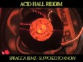 (Acid Hall Riddim) Spragga Benz - Supposed To Know