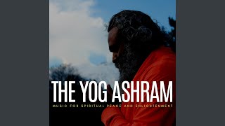 Start Morning with Bird&#39;s Chirping