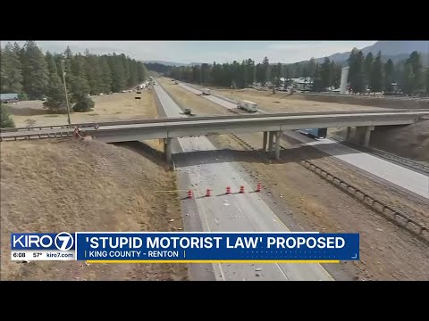 ‘Stupid Motorist Law’ proposed