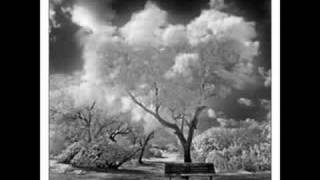 Jane Wiedlin - Inside a Dream