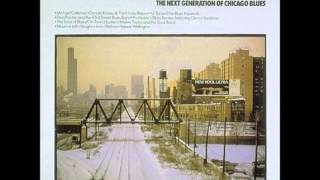 LIL ED & THE BLUES IMPERIALS (U.S) - Young Thing