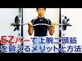 EZバーで上腕二頭筋を鍛えるメリットと方法 ～安全・効果的に力こぶを鍛えよう～