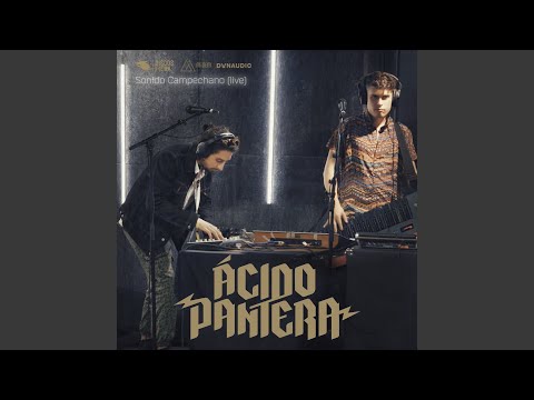 Sonido Campechano (Live)