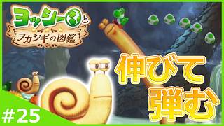 ゴムのように伸びて弾む◯◯な姿のかたつむり！？【ヨッシーとフカシギの図鑑】#25