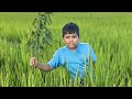 Jai Kishan Anna Rythanna Jaikisanvlog రైతునేస్తం Rythubidda