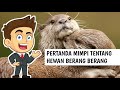10 Meanings And Signs Of Dreams About Beavers