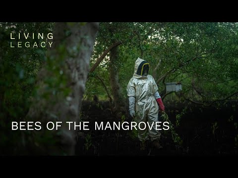 BBC StoryWorks and 2 more