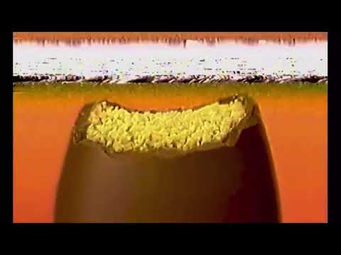 Reese’s Commercial (2019)