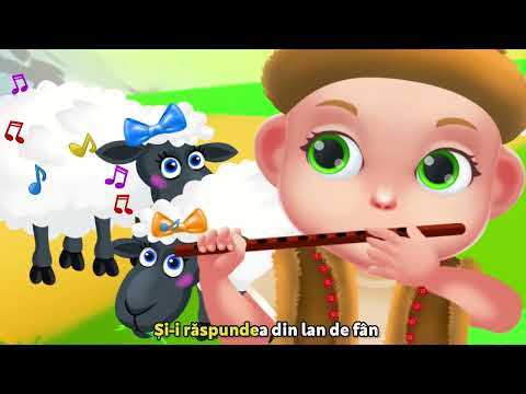 Povestea unui Ciobănaș - Cântece pentru copii | Baby Kiwi 🥝