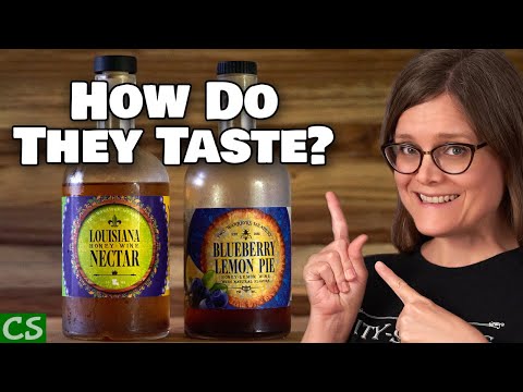 Two Warriors Meadery - Blueberry Lemon Pie and Louisiana Nectar - Mead Tasting